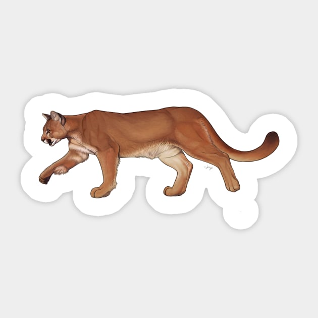 Cougar Sticker by uialwen